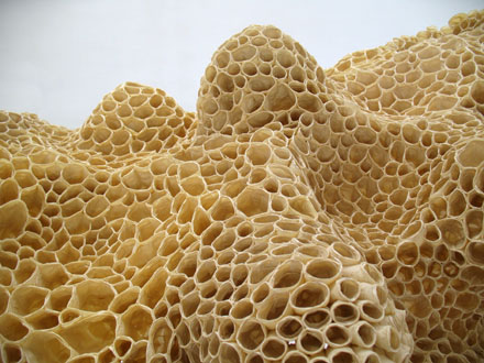 Rooms with a view, 2010