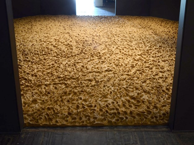 Pia Männikkö: Still live, 2011