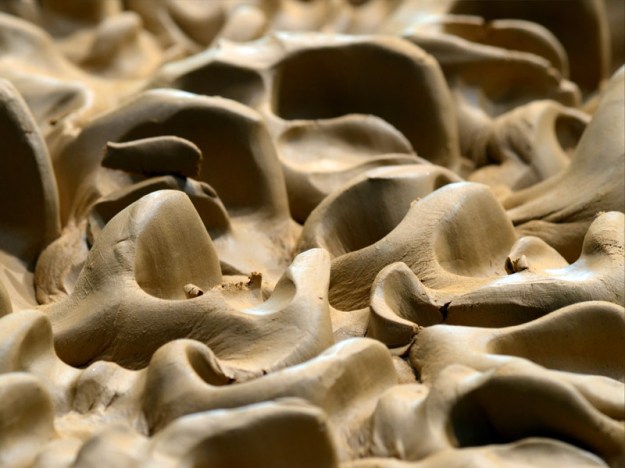 Pia Männikkö: Still live, 2011