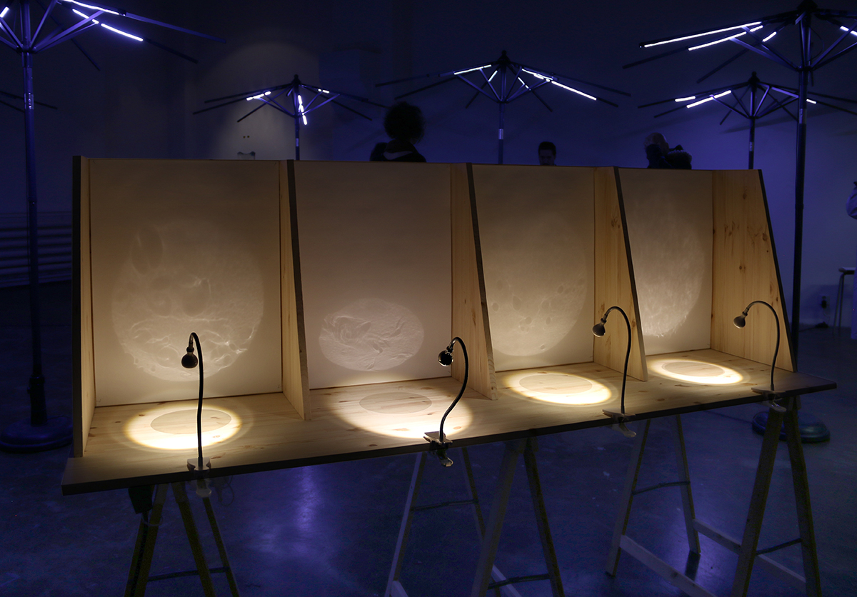 Pia Männikkö: Expedition, 2019