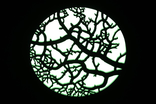 Pia Männikkö: Forest Sounds, 2018