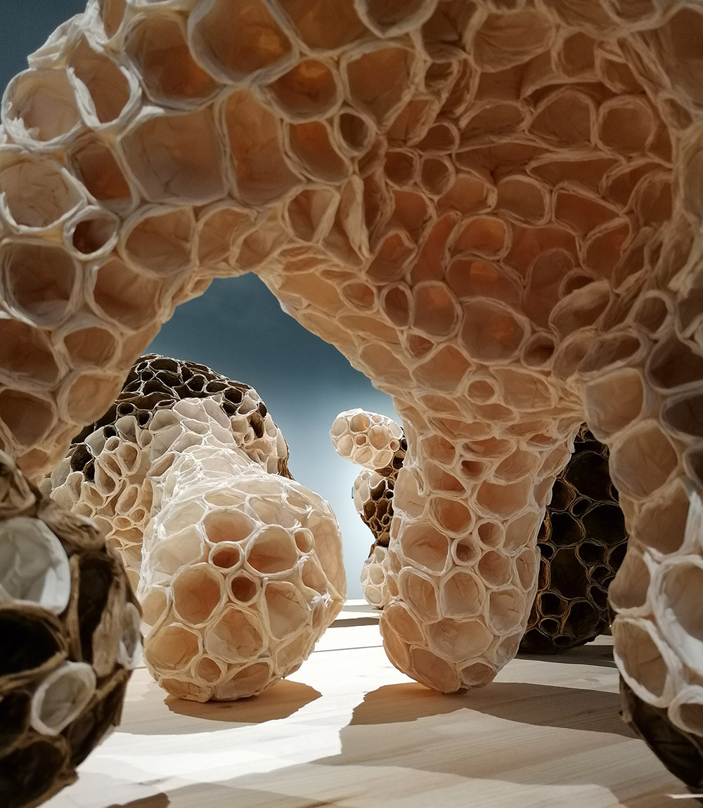 img_20210928_142618_edited